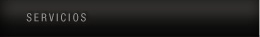 servicios
